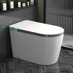 Smart LED Luxury Bidet Toilet - Northern Interiors