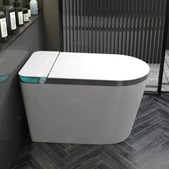 Smart LED Luxury Bidet Toilet - Northern Interiors