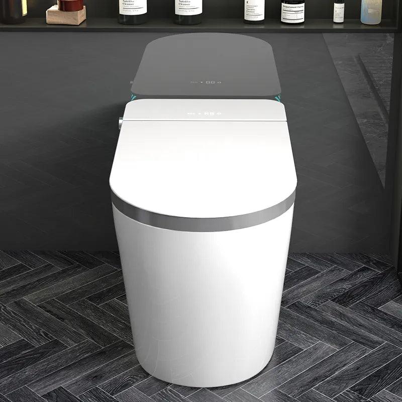 Smart LED Luxury Bidet Toilet - Northern Interiors